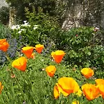 Athena, Sejour Bien-etre Et Ethique