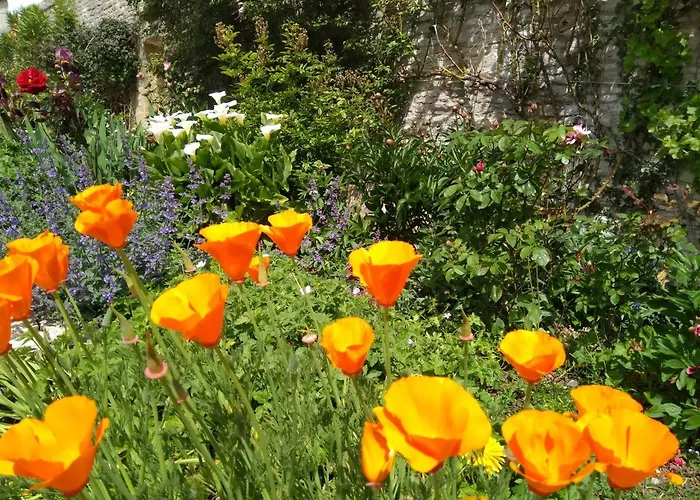 Athena, Sejour Bien-etre Et Ethique