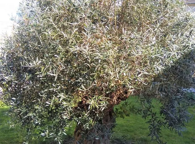 Ubytování v soukromí Athena, Sejour Bien-etre Et Ethique *